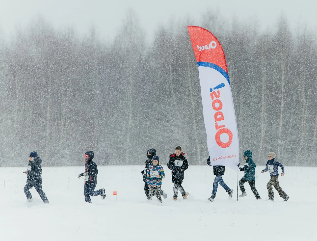 Зимний трейл WILD TRAIL.